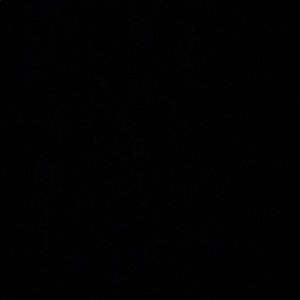 Meet your Posher, Keith